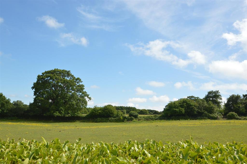 Dsc 4543.jpg