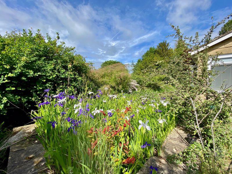 A view of the Garden