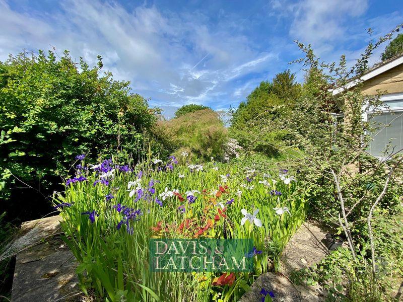 A view of the Garden