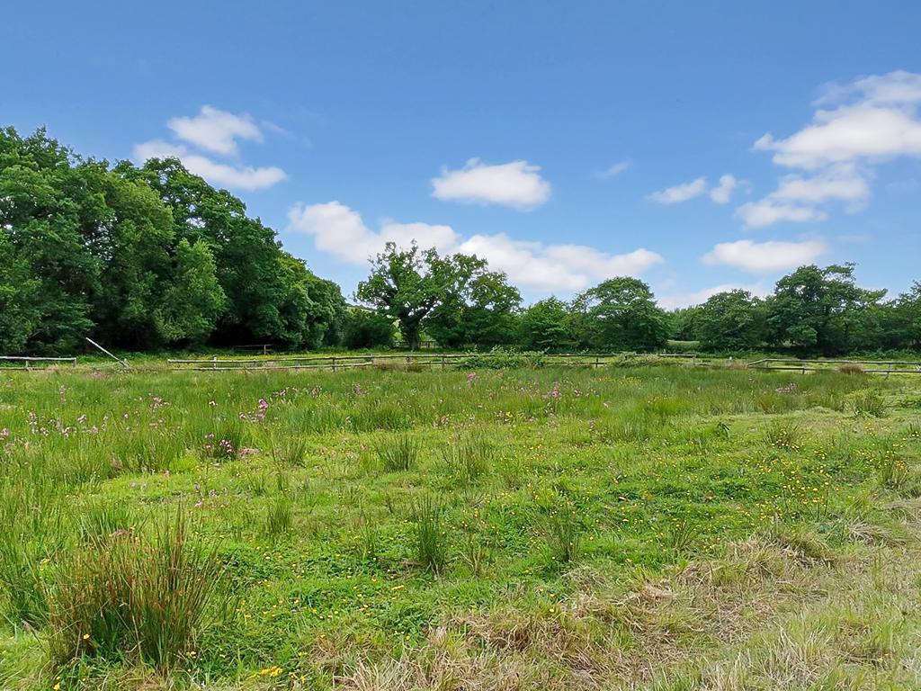 The Land - View 2