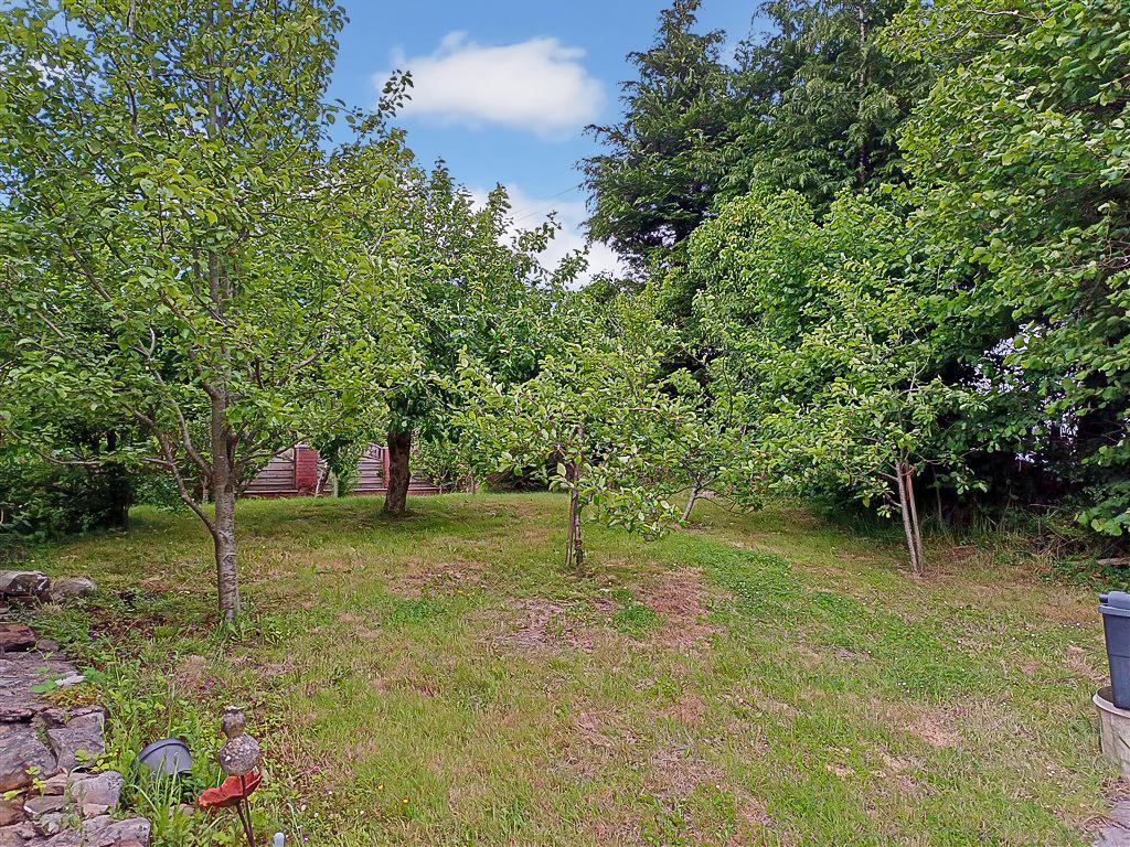 Side Orchard