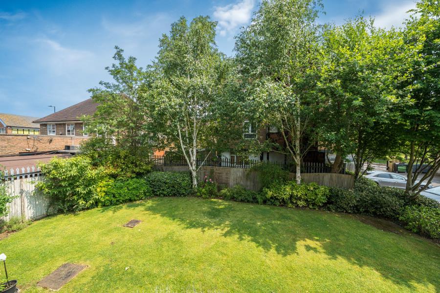 Garden view, garden