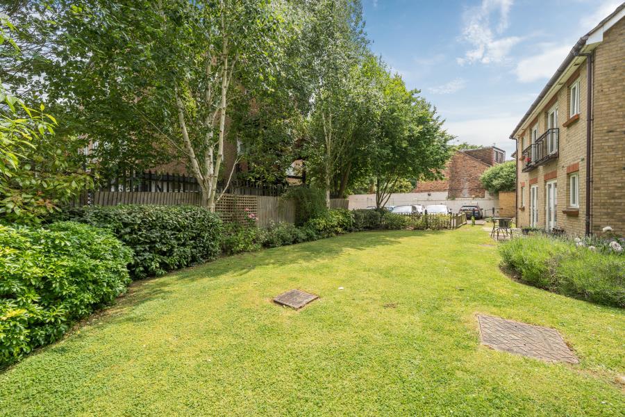 Garden view, garden