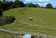 Additional image 30 of Tavistock, Devon