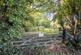 Additional image 38 of Tavistock, Devon