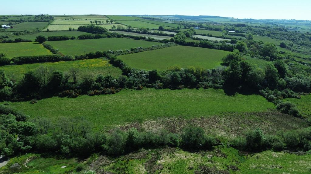The Land