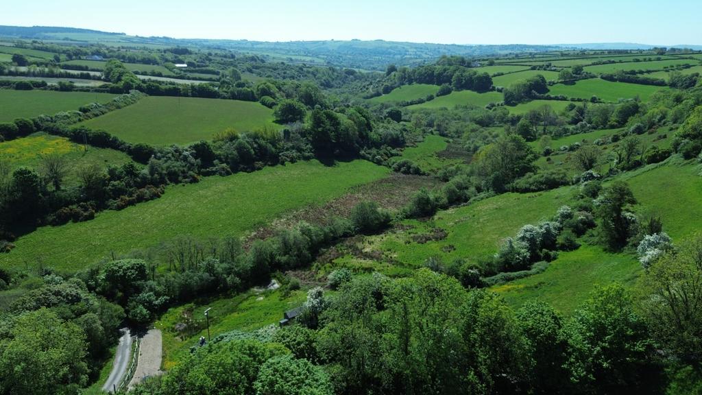 The Land