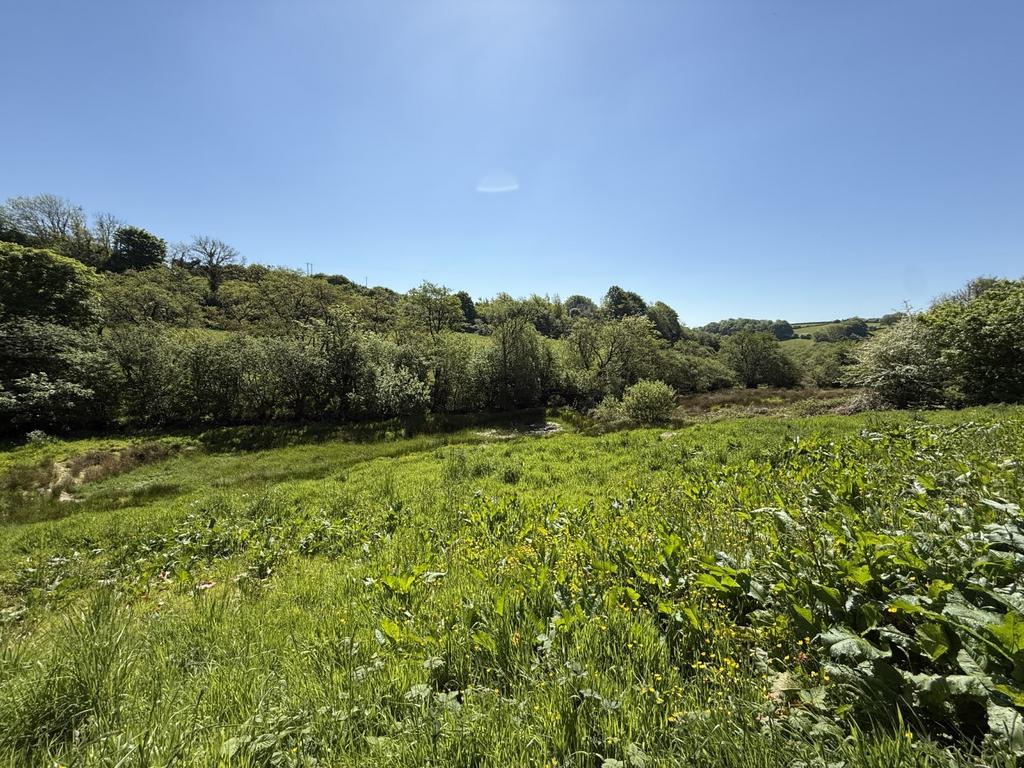 The Land