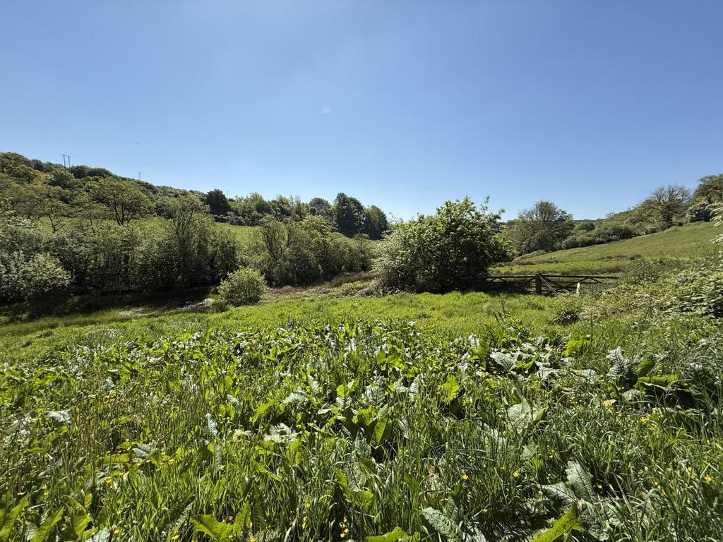 The Land