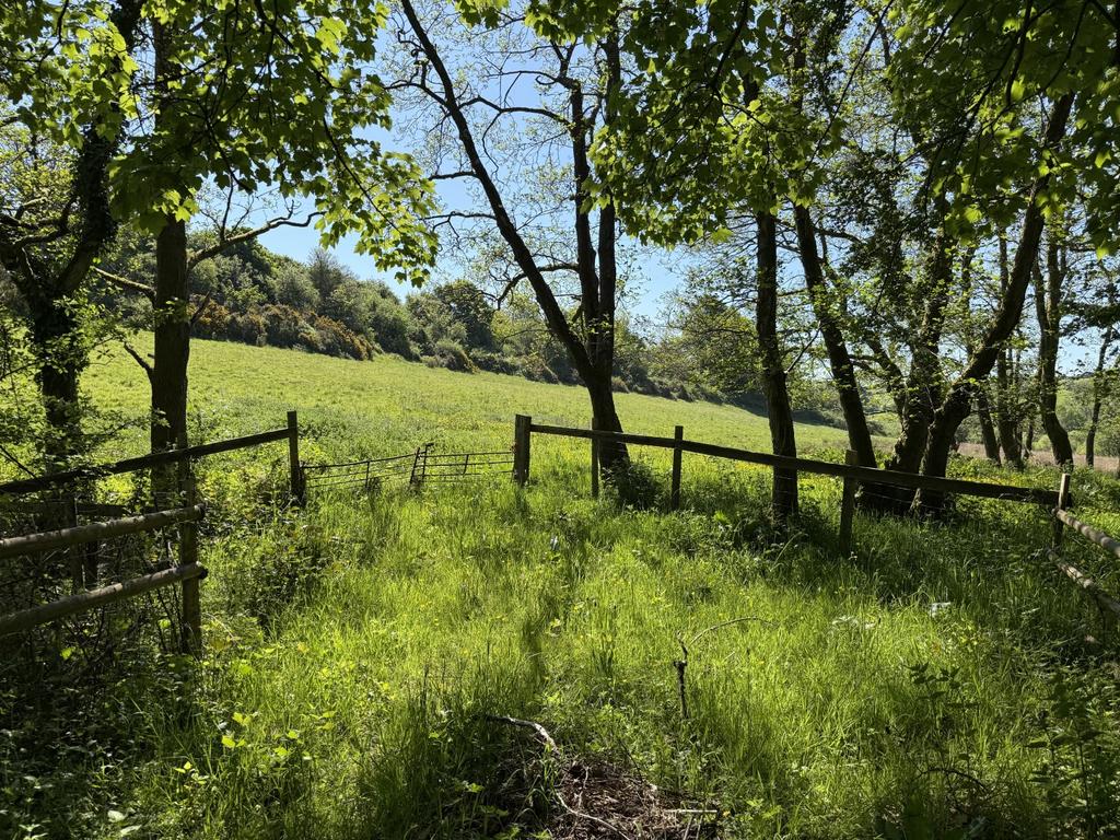 The Land