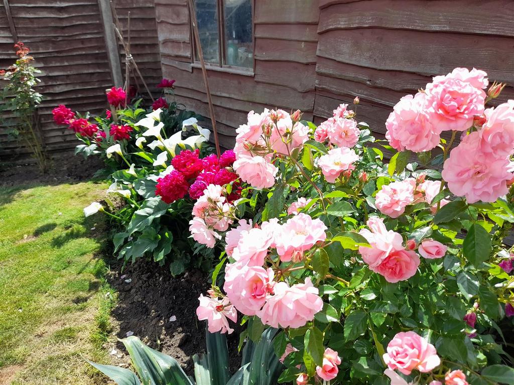 Rear garden 1.jpg