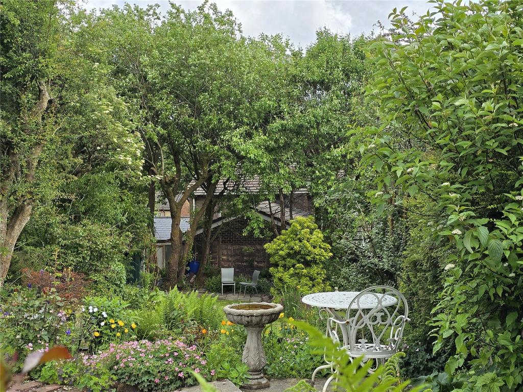 Lush Green Garden