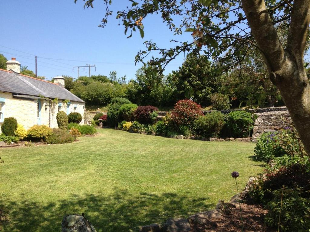 Garden Lawn Y Cwm.jpg