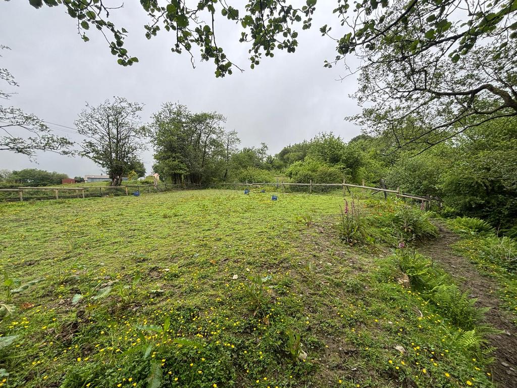 The paddock