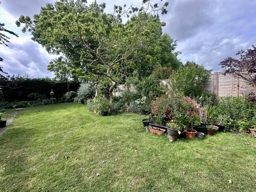 Garden 1