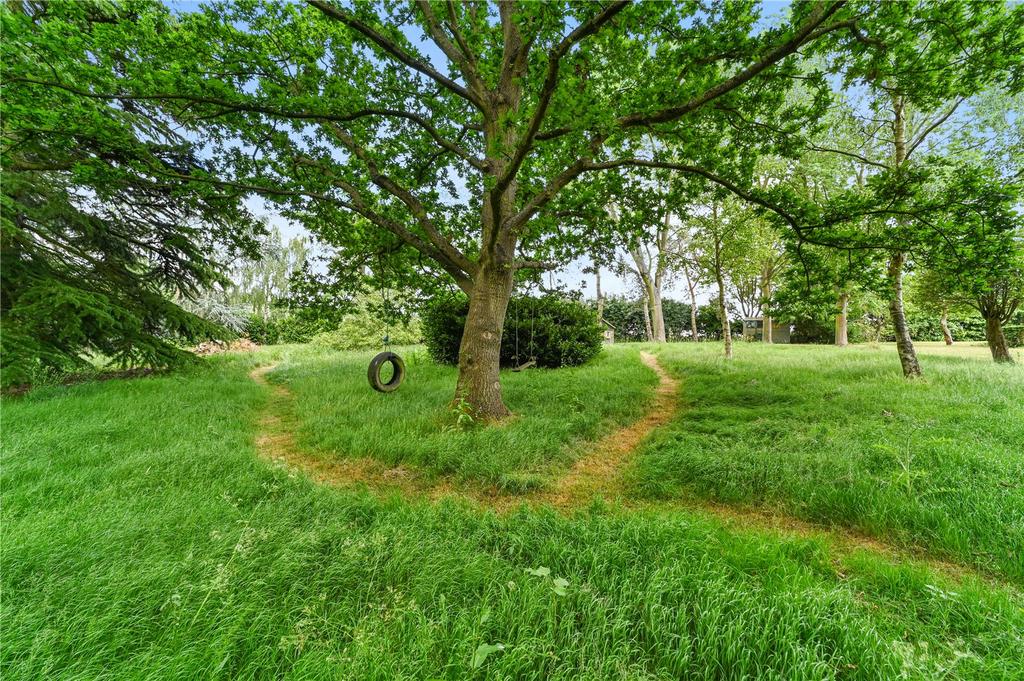 Grounds