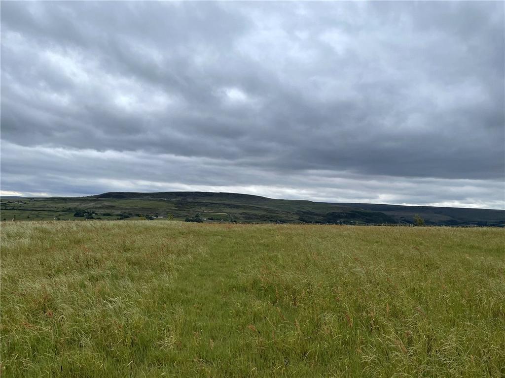 Land