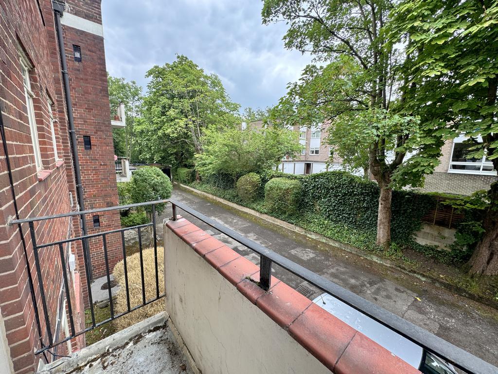 F.JPG