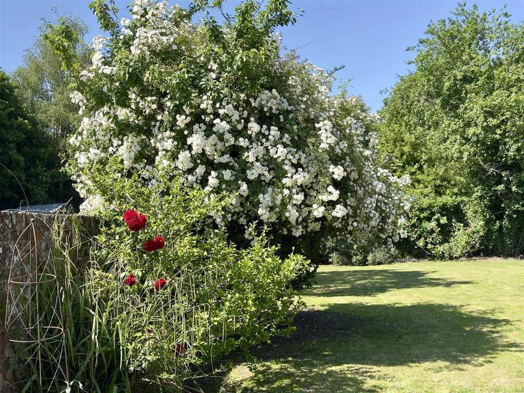 IMG 8869.jpeg