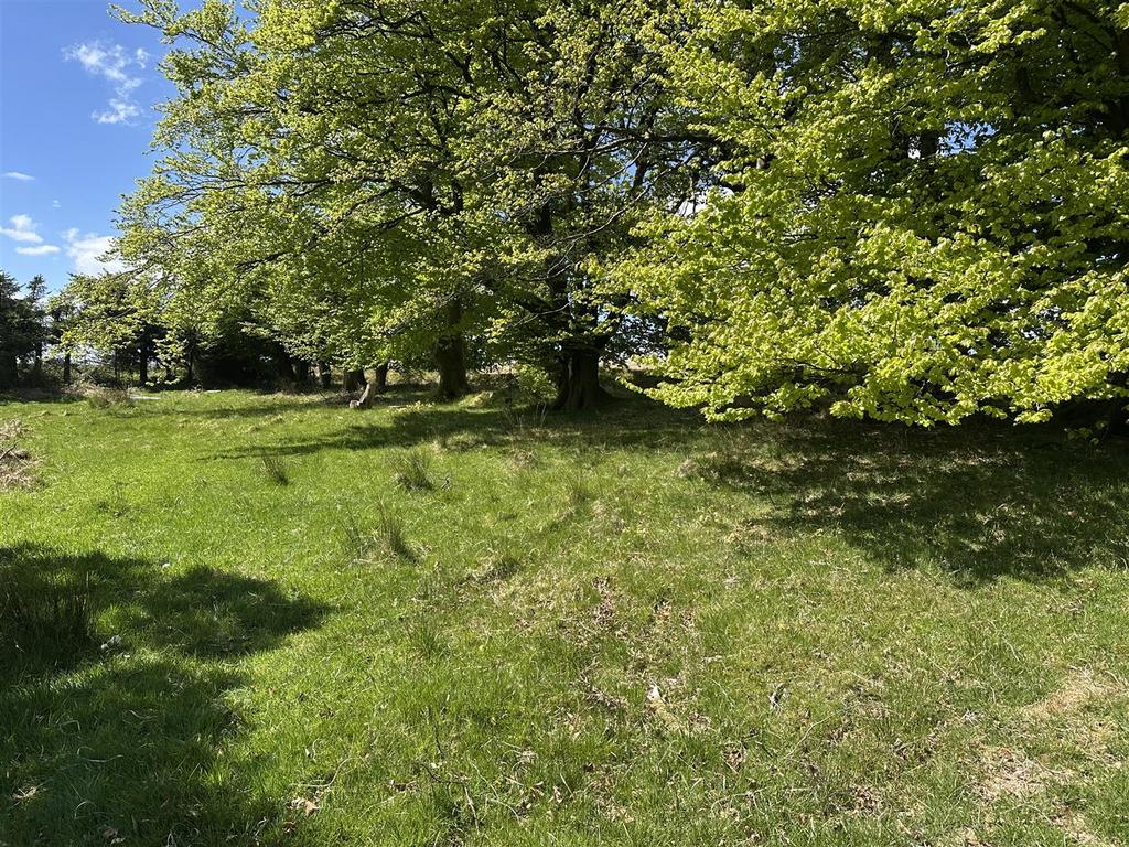 IMG 4982.jpeg