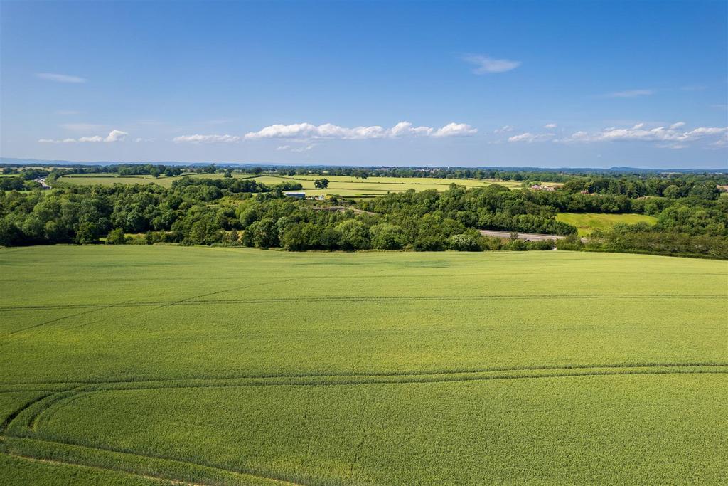 DJI 0047.jpg