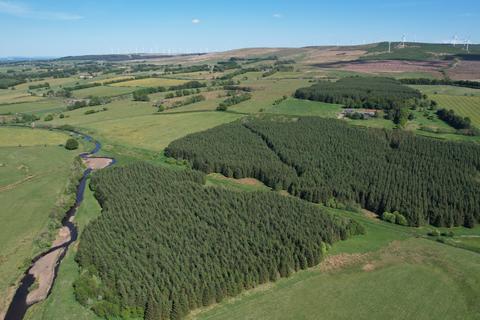 Woodland for sale, Syde of Glengavel, Near Strathaven, South Lanarkshire ML10