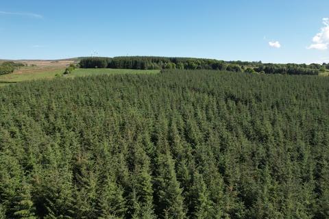 Woodland for sale, Syde of Glengavel, Near Strathaven, South Lanarkshire ML10