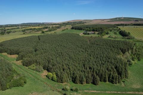 Woodland for sale, Syde of Glengavel, Near Strathaven, South Lanarkshire ML10