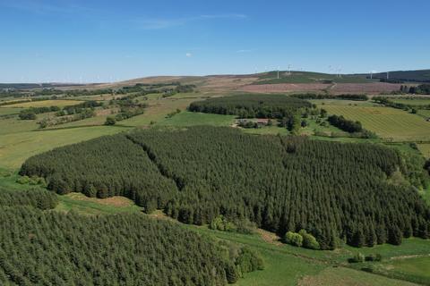 Woodland for sale, Syde of Glengavel, Near Strathaven, South Lanarkshire ML10