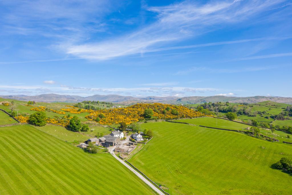 Yew Tree Farm
