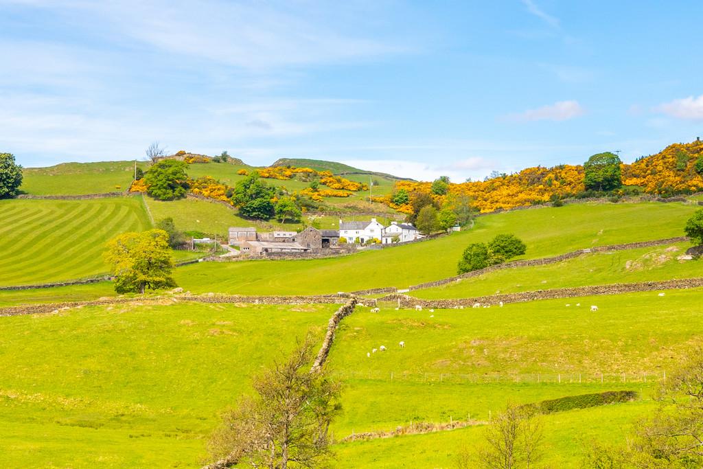 Yew Tree Farm