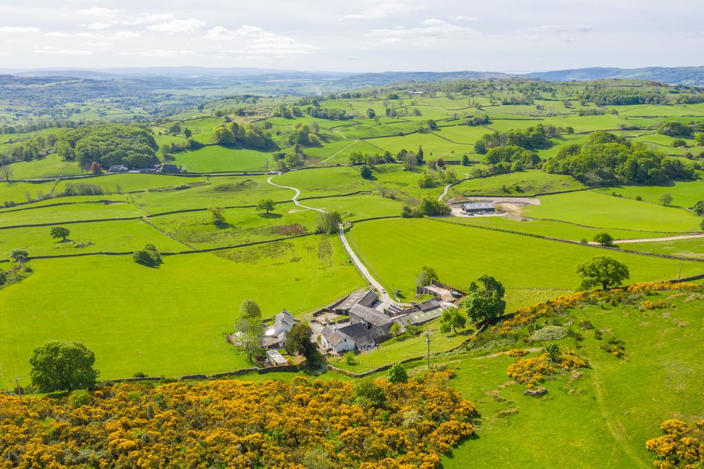 Yew Tree Farm