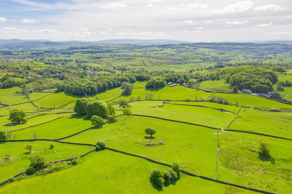 Yew Tree Farm