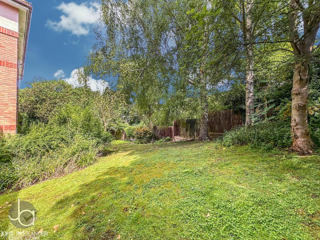 20250606 113123211 0.5