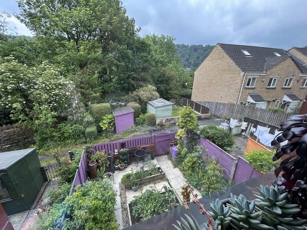 South Facing Garden