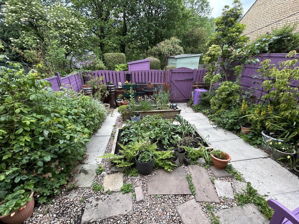 South Facing Garden