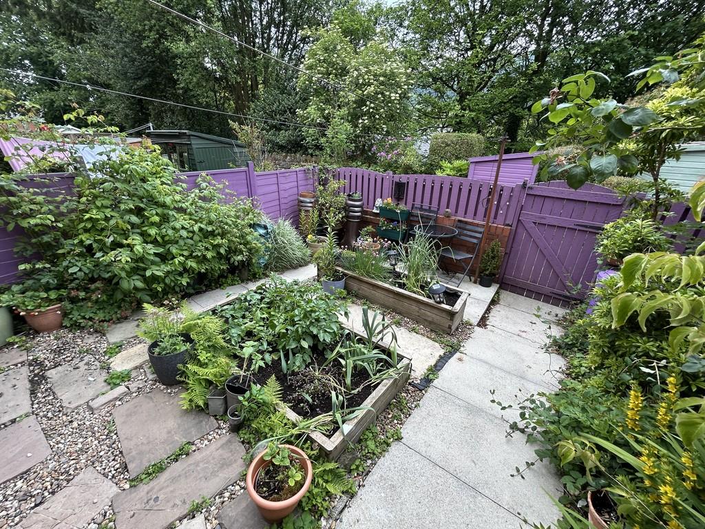 South Facing Garden