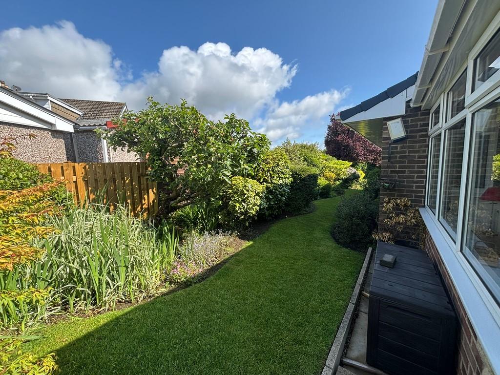 Garden 3