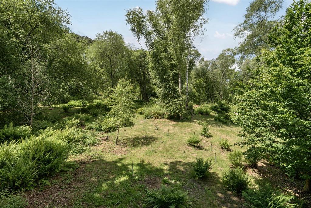 Wooded Copse
