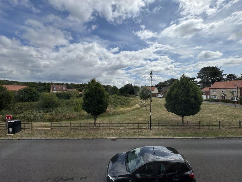 Views to the glade
