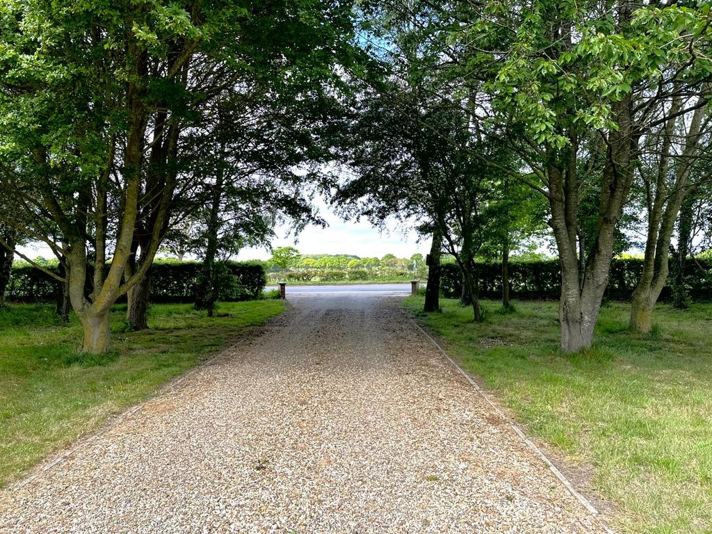 Tree-Lined Entrance 733