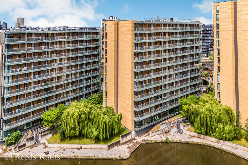 General Development