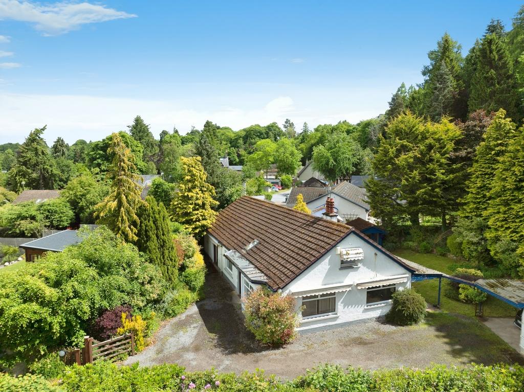 The Property