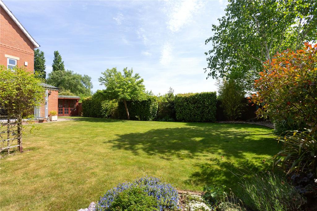 Photos
