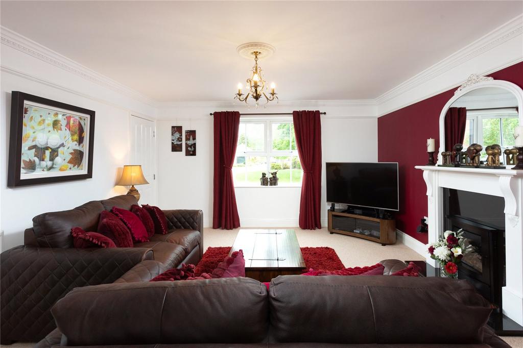 Photos