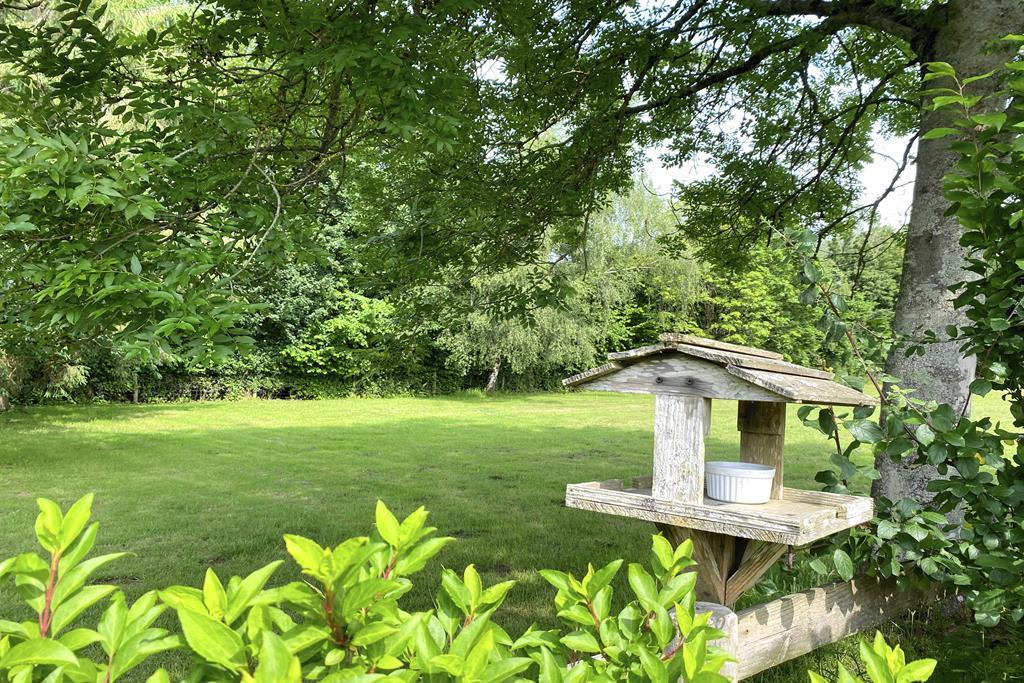 Delightful Outlook