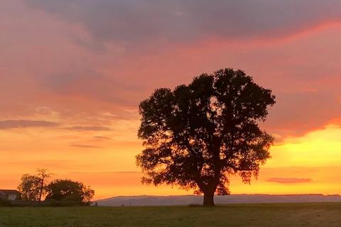 undefined, Stoke Road, North Curry, Somerset, TA3