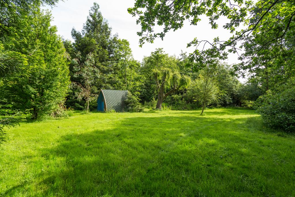 Grounds
