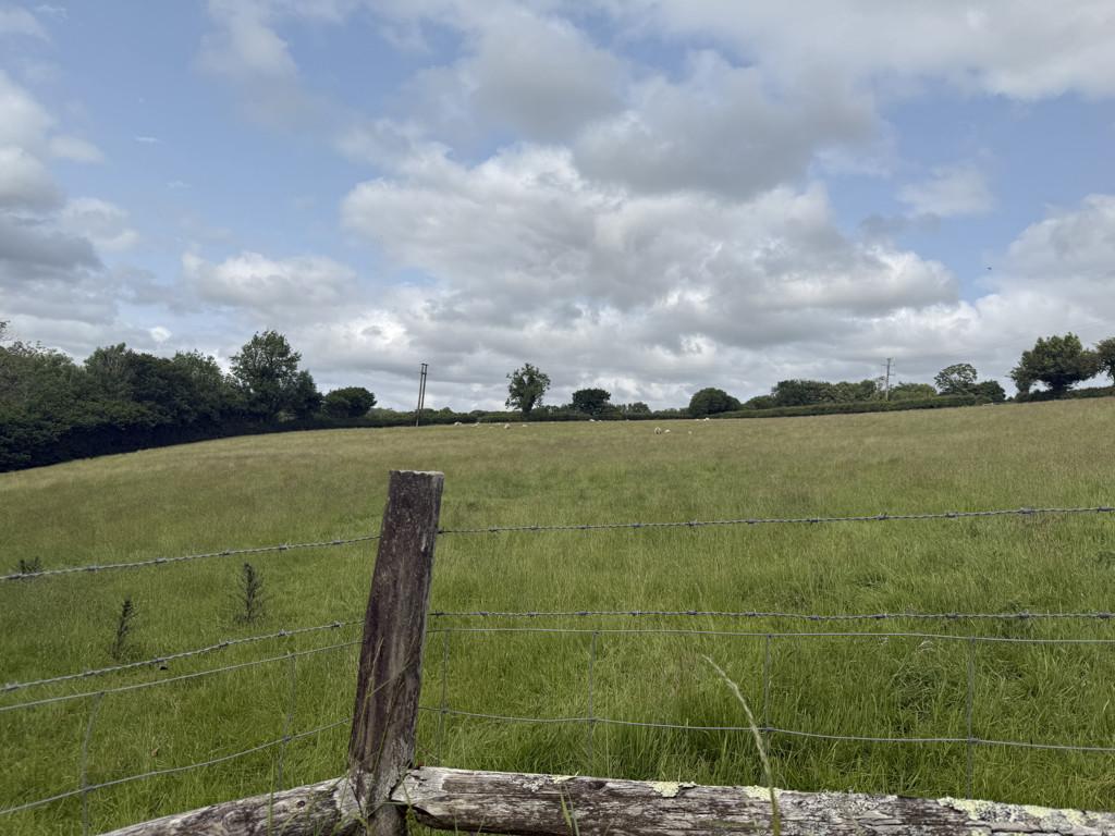 Nearby Fields