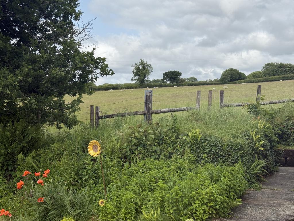Pretty Gardens